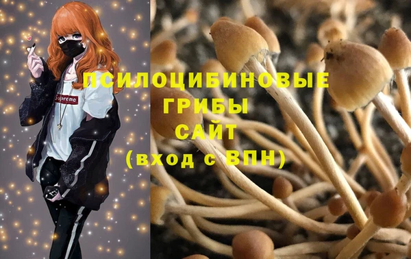 марки nbome Верхний Тагил