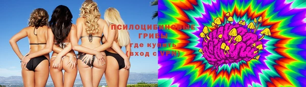 прущий лед Верея