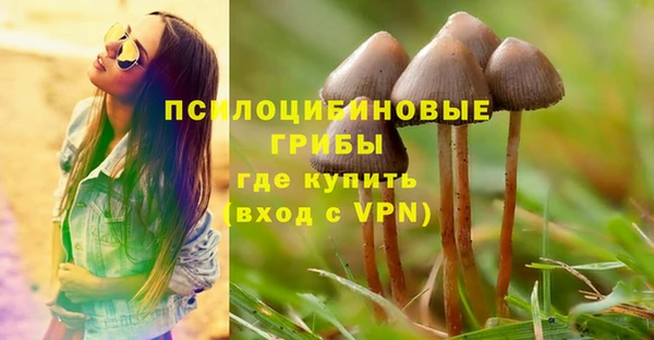 прущий лед Верея