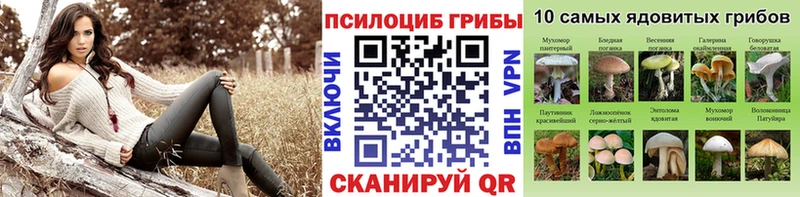 Купить закладки  Тавда  Псилоцибиновые грибы ЛСД 